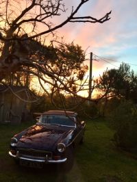 IMG_0912.jpg