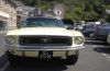 IMG_1106~1.JPG