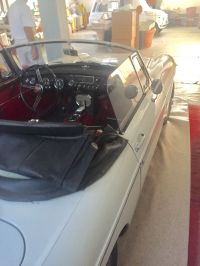 IMG_1170.jpeg