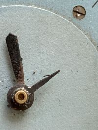 IMG_1346.jpeg