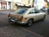 IMG_1708.jpeg