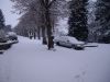 IMG_1736_28Copier29.JPG
