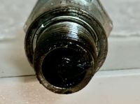 IMG_1756.jpeg