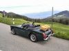 IMG_20140601_141612_28800x59329.jpg