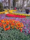 IMG_20160417_134244.jpg
