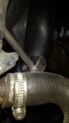 IMG_20170308_165734592.jpg