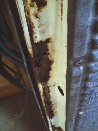 IMG_20171102_165014.jpg