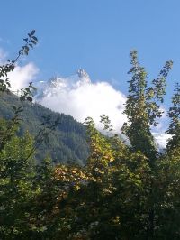 Nom du fichier=IMG_20180908_173324.jpg
Taille du fichier=318Ko
Dimensions : 1488x1984
Ajouté le : 16 Septembre 2018 IMG_20180908_173324.jpg