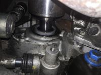 IMG_20200314_104619.jpg
