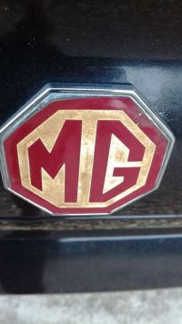 IMG_20200416_190332~0.jpg
