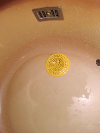 IMG_20200531_163114.jpg
