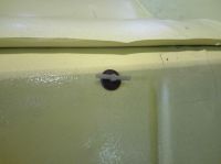 IMG_20200712_1115155B15D~0.jpg