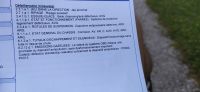 IMG_20200717_190253.jpg