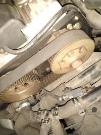 IMG_20200822_155625-min~1.jpg