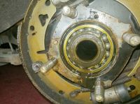 IMG_20201228_113101.jpg