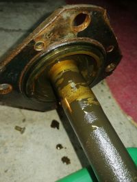 IMG_20201228_113108.jpg