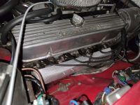 IMG_20210416_171211.jpg
