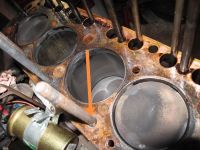 IMG_20210427_170410.jpg