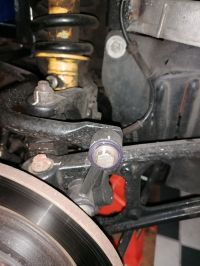 IMG_20210627_102445.jpg