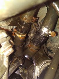 IMG_20210710_1704199.jpg