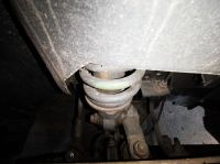 IMG_20210715_103849.jpg