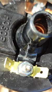 IMG_20210801_095338.jpg