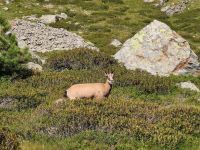 Nom du fichier=IMG_20210808_180446.jpg
Taille du fichier=518Ko
Dimensions : 1280x960
Ajouté le : 04 Octobre 2021 IMG_20210808_180446.jpg