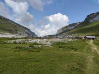 IMG_20210824_150349.jpg