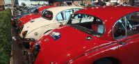 IMG_20210830_145802.jpg