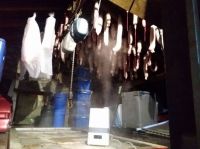 IMG_20220102_102830.jpg