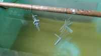IMG_20220315_162737.jpg