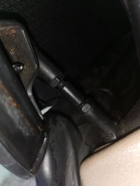 IMG_20220618_110022.jpg