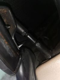 IMG_20220618_110027.jpg