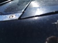 IMG_20220628_160322~0.jpg