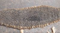 IMG_20230121_092940.jpg