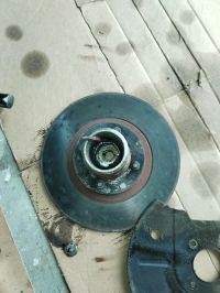 IMG_20230416_175435.jpg