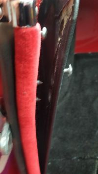 IMG_20230522_114157.jpg