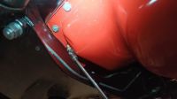 IMG_20230606_095944.jpg