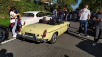 IMG_20231007_104852.jpg