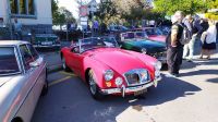 IMG_20231007_111846.jpg