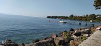 IMG_20231007_120833.jpg