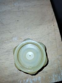 IMG_20240224_151539.jpg