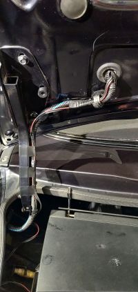 IMG_20240416_181043.jpg