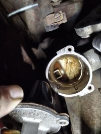 IMG_20240421_210703.jpg