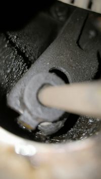 IMG_20240613_145055.jpg