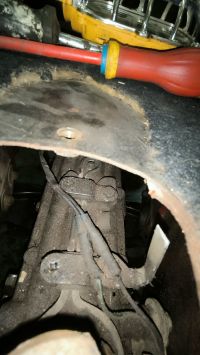 IMG_20240712_183722.jpg