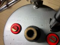 IMG_2237.jpeg