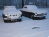 IMG_2633.JPG