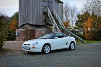 IMG_2784.jpg