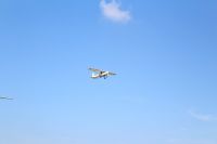 IMG_4327.jpg